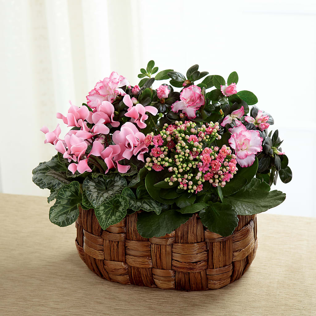 Pink Assortment – Joya Flowers, Central Islip NY