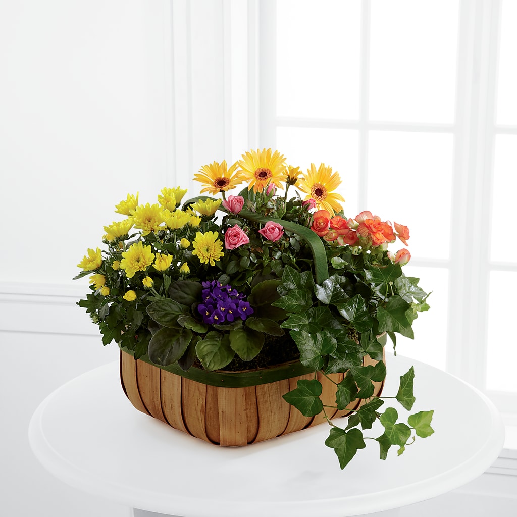 Gentle Blossoms Basket – Joya Flowers, Central Islip NY