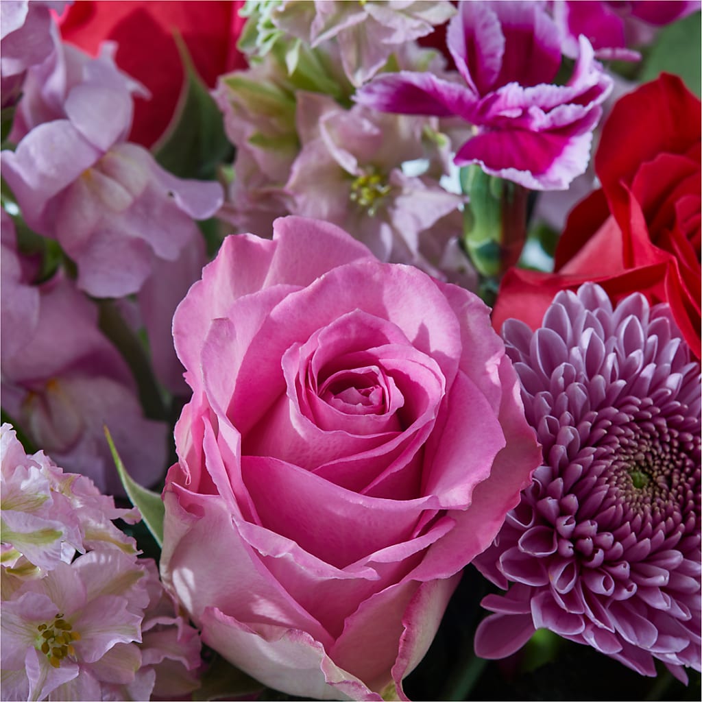 Better Together - A Luxury Florist Original – Joya Flowers, Central Islip NY