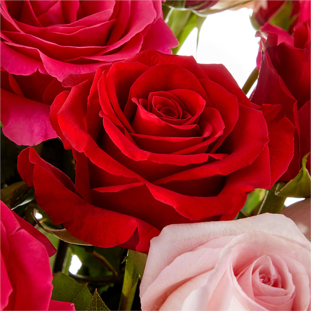 Love Notes Rose Bouquet – Joya Flowers, Central Islip NY