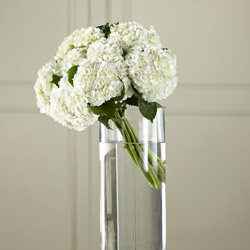 White Hydrangea Hand-Tied Bouquet – Joya Flowers, Central Islip NY