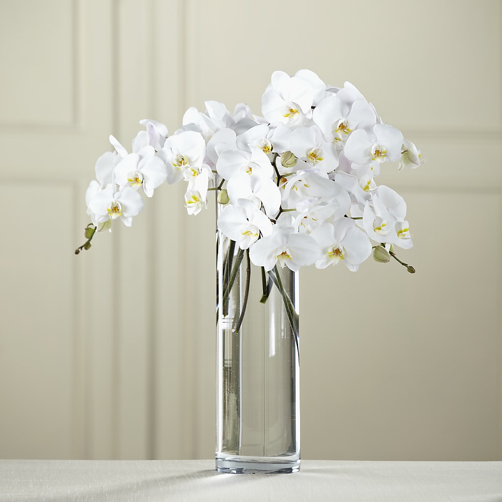 White Phalaenopsis Bouquet – Joya Flowers, Central Islip NY