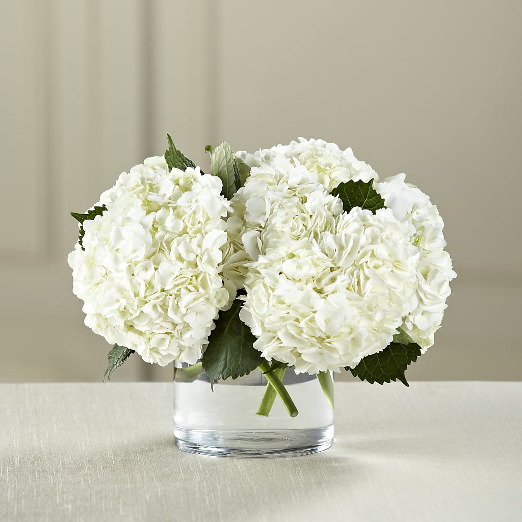 White Hydrangea Bouquet – Joya Flowers, Central Islip NY