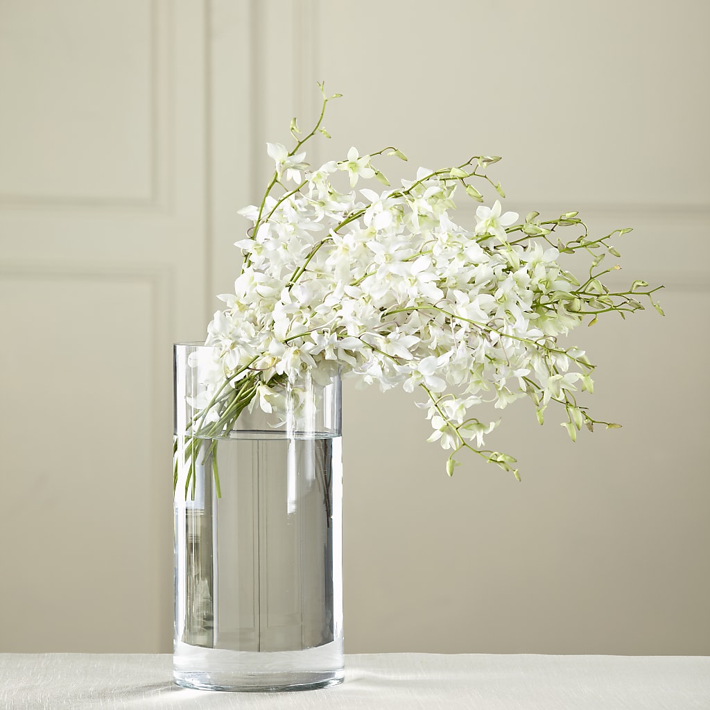 White Dendrobium Bouquet – Joya Flowers, Central Islip NY