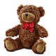 Adorable Plush Bear –  Joya Flowers, Central Islip NY