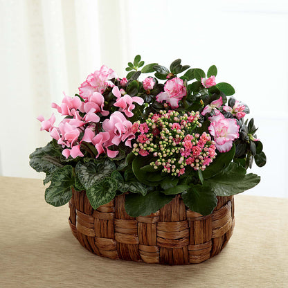 Pink Assortment –  Joya Flowers, Central Islip NY