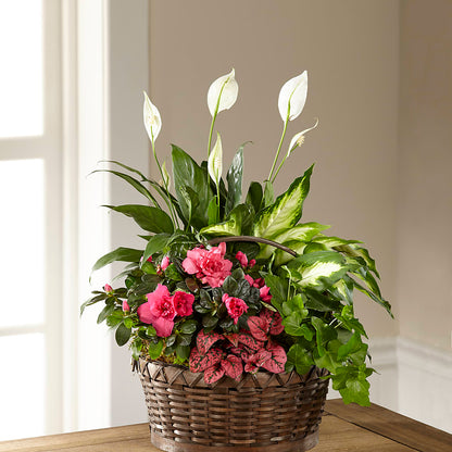 Dream in Pink Dishgarden –  Joya Flowers, Central Islip NY