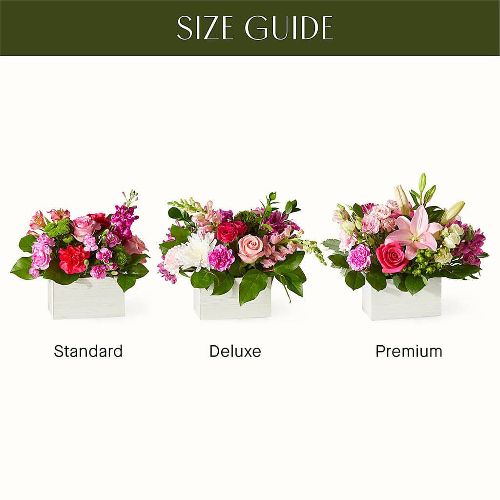 Sweetberry Box – A Florist Original –  Joya Flowers, Central Islip NY