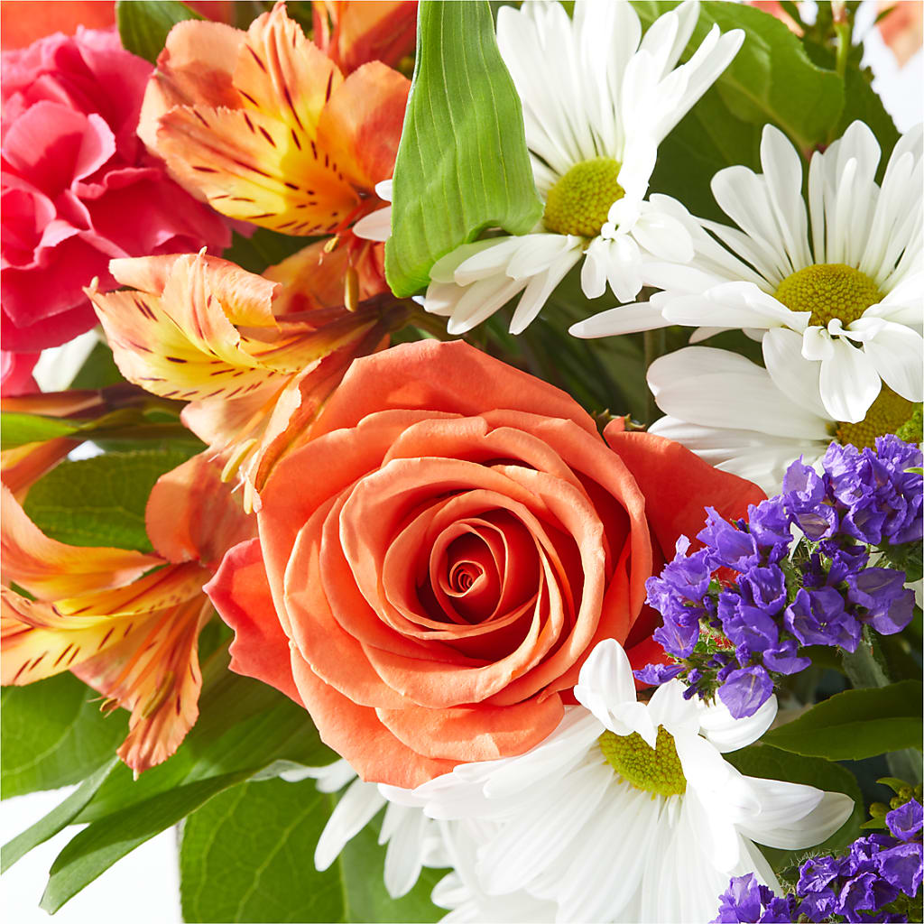 Oopsie Daisy Box Bouquet –  Joya Flowers, Central Islip NY