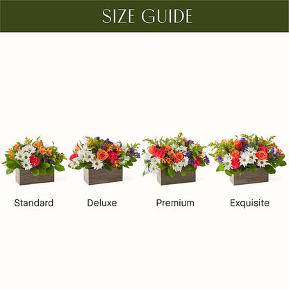Oopsie Daisy Box Bouquet –  Joya Flowers, Central Islip NY