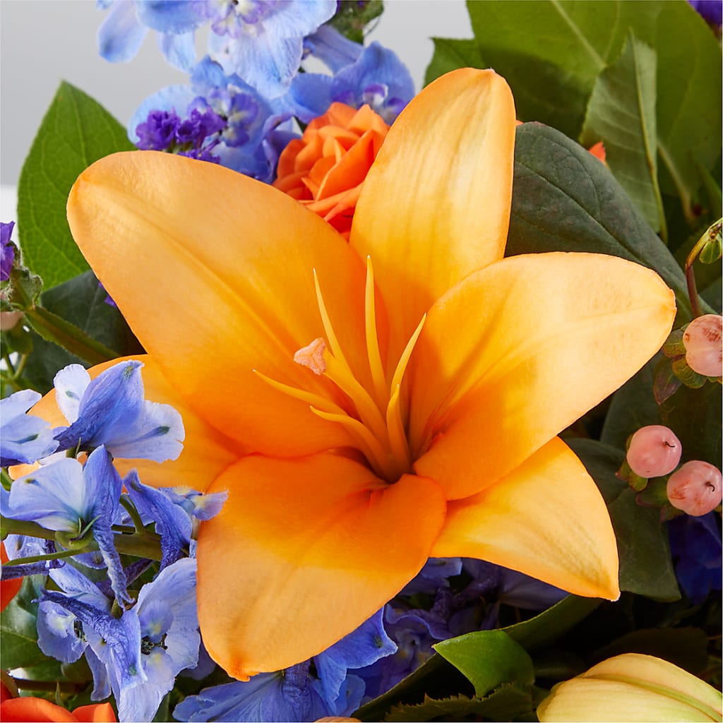 Radiant Citrus Box Bouquet –  Joya Flowers, Central Islip NY