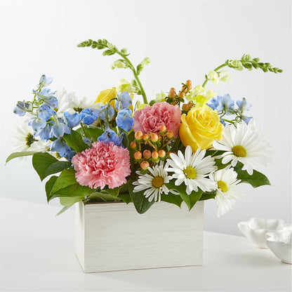 Sun Salutation Box Bouquet –  Joya Flowers, Central Islip NY