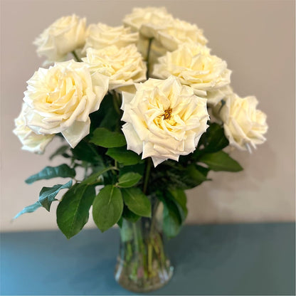 Long Stem Yellow Rose Bouquet –  Joya Flowers, Central Islip NY