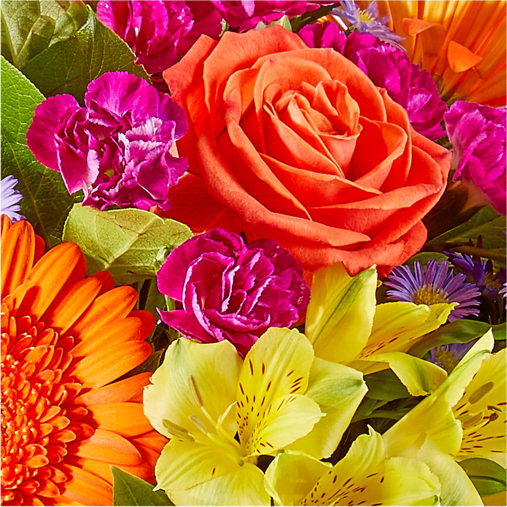 Tricks & Treats Pumpkin –  Joya Flowers, Central Islip NY