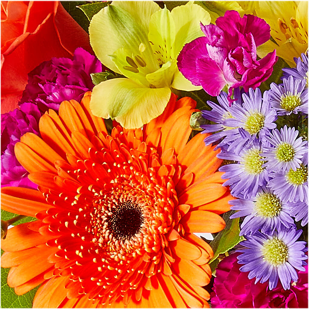 Tricks & Treats Pumpkin –  Joya Flowers, Central Islip NY