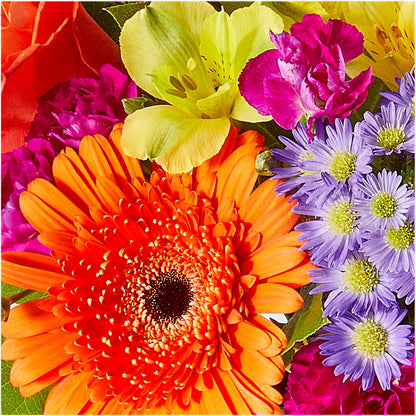 Tricks & Treats Pumpkin –  Joya Flowers, Central Islip NY
