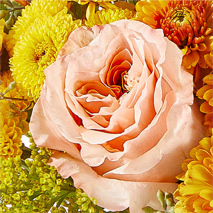 Peachy Pumpkin –  Joya Flowers, Central Islip NY