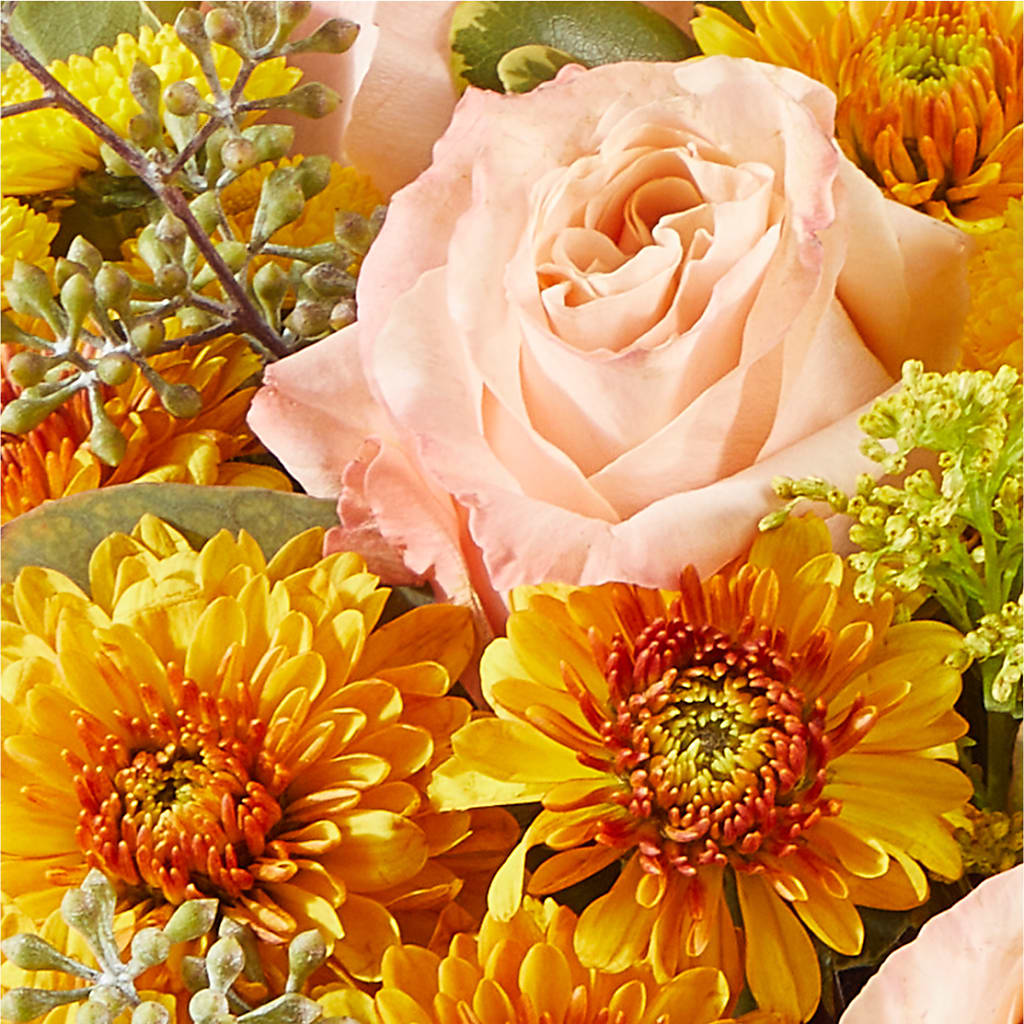 Peachy Pumpkin –  Joya Flowers, Central Islip NY