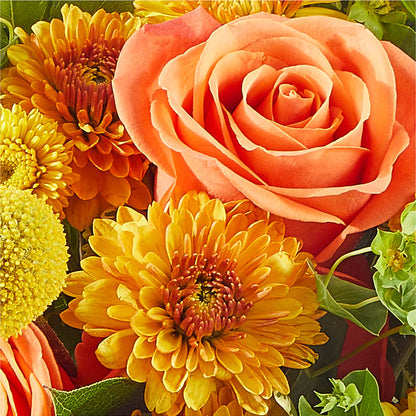 Gourdgeous Pumpkin –  Joya Flowers, Central Islip NY