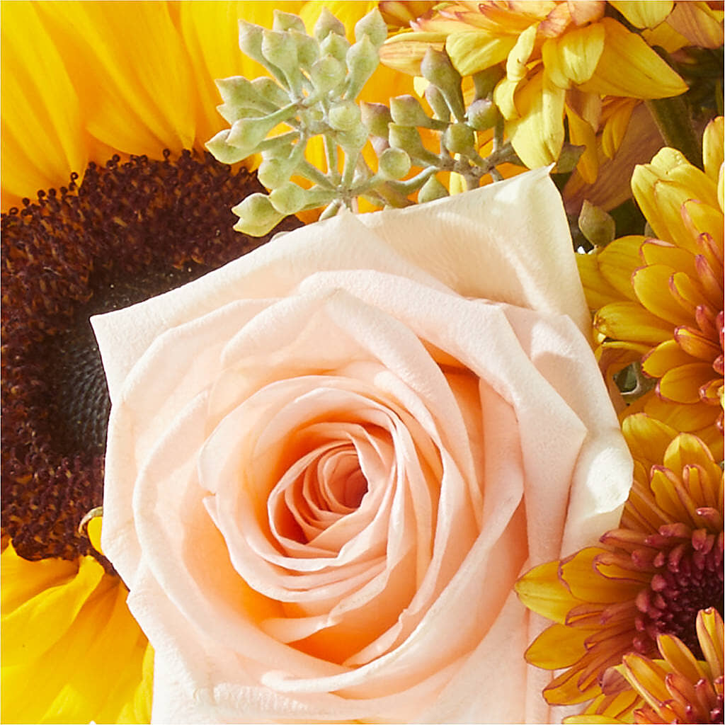 Pumpkin to Talk About Bouquet –  Joya Flowers, Central Islip NY