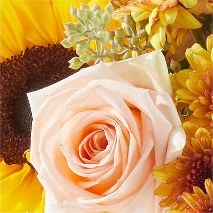 Pumpkin to Talk About Bouquet –  Joya Flowers, Central Islip NY