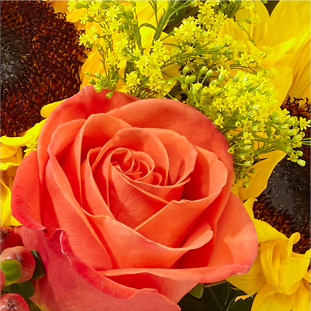 Pick of the Patch Pumpkin Bouquet –  Joya Flowers, Central Islip NY