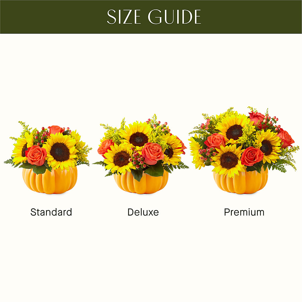 Pick of the Patch Pumpkin Bouquet –  Joya Flowers, Central Islip NY