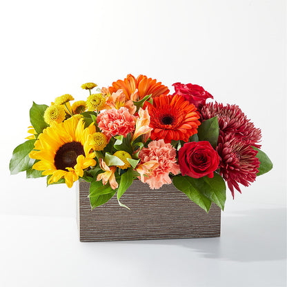 Autumn Orchard Bouquet –  Joya Flowers, Central Islip NY