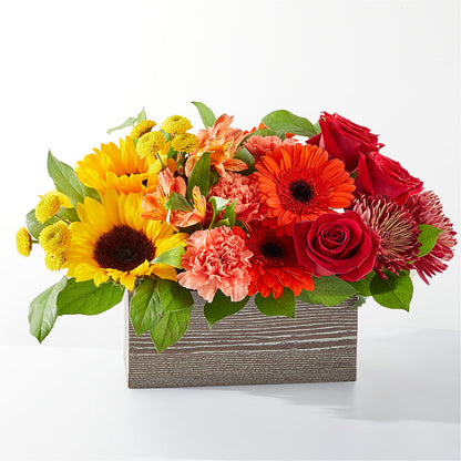 Autumn Orchard Bouquet –  Joya Flowers, Central Islip NY