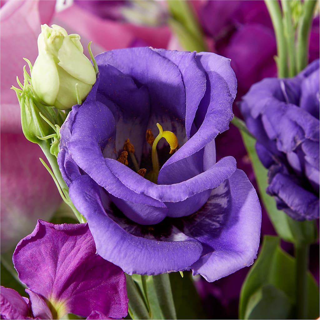 Twilight Glow Bouquet –  Joya Flowers, Central Islip NY
