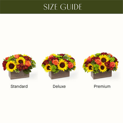 Happy Harvest Garden –  Joya Flowers, Central Islip NY