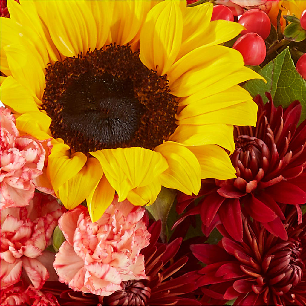 Fresh Cider Bouquet –  Joya Flowers, Central Islip NY