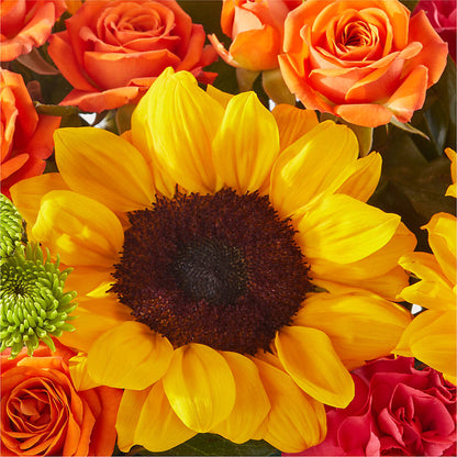 Sun-drenched Blooms Box Bouquet –  Joya Flowers, Central Islip NY