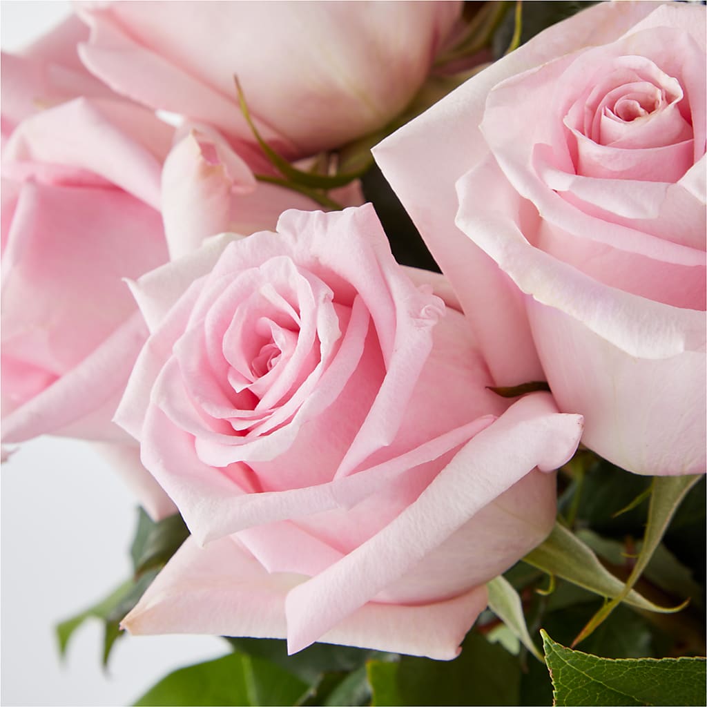 Picture Perfect Pink Rose Bouquet –  Joya Flowers, Central Islip NY