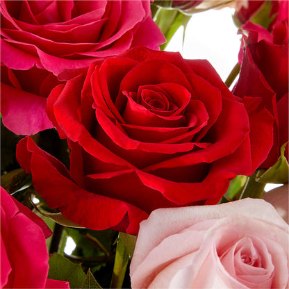 Love Notes Rose Bouquet –  Joya Flowers, Central Islip NY