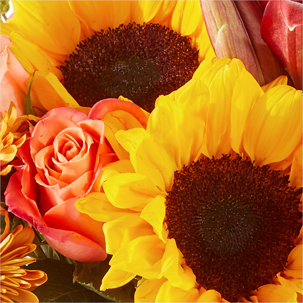 Acorn Lane Bouquet –  Joya Flowers, Central Islip NY