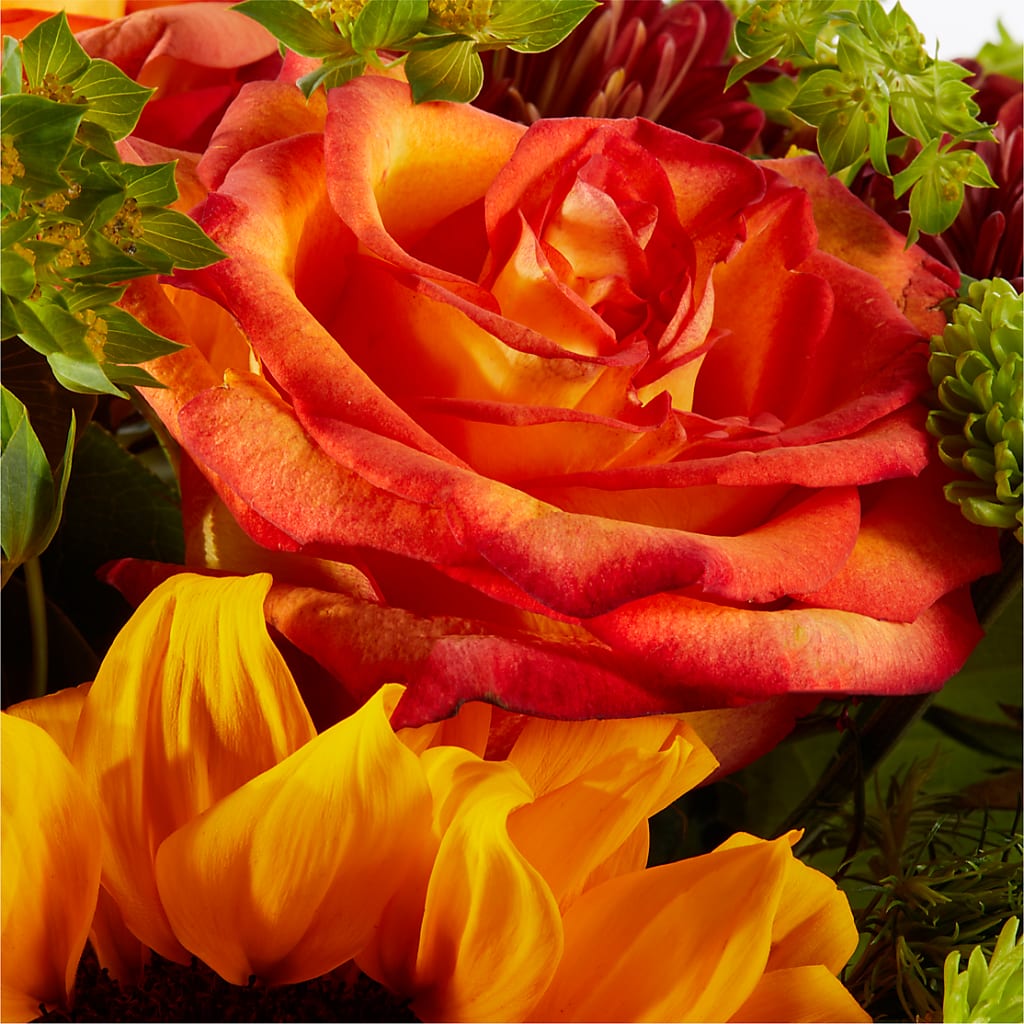 Harvest Festival Bouquet –  Joya Flowers, Central Islip NY