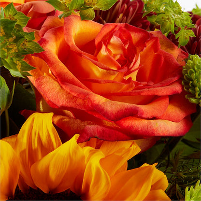 Harvest Festival Bouquet –  Joya Flowers, Central Islip NY