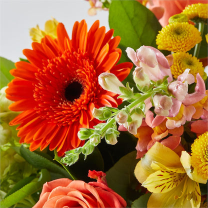 Autumn Sunshine Bouquet –  Joya Flowers, Central Islip NY
