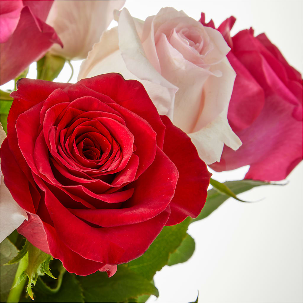 Charming Rose Bouquet –  Joya Flowers, Central Islip NY