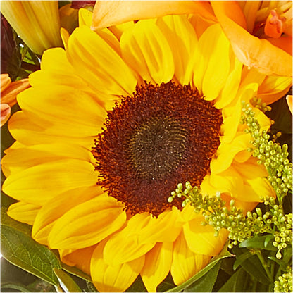 Seasons Change Bouquet –  Joya Flowers, Central Islip NY
