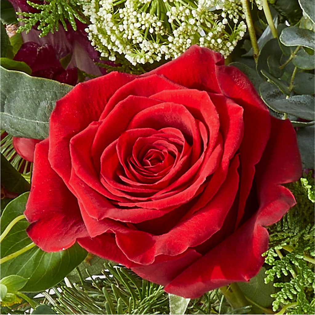Cranberry Fizz Bouquet –  Joya Flowers, Central Islip NY