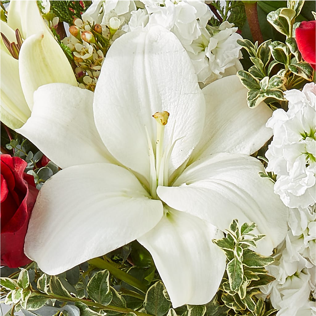 Twinkle Lights Bouquet –  Joya Flowers, Central Islip NY