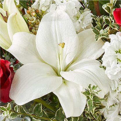 Twinkle Lights Bouquet –  Joya Flowers, Central Islip NY