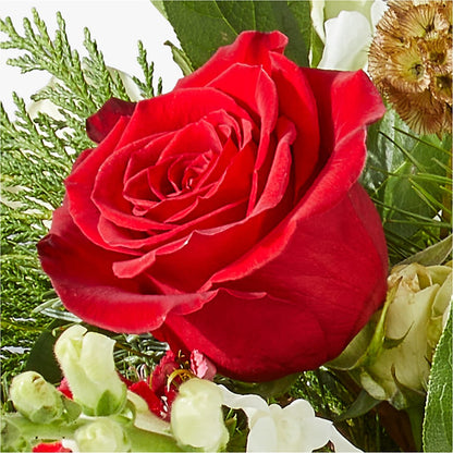 Deck the Halls Bouquet –  Joya Flowers, Central Islip NY