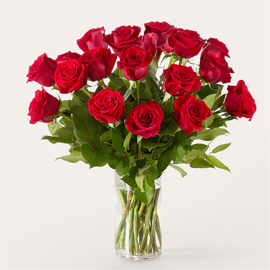 The One Red Rose Bouquet –  Joya Flowers, Central Islip NY