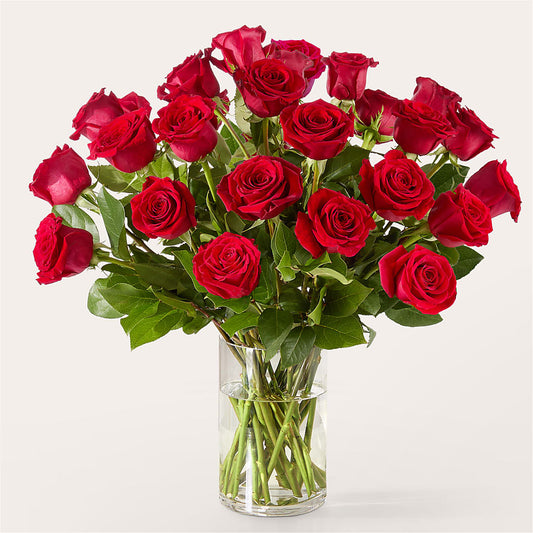 The One Red Rose Bouquet –  Joya Flowers, Central Islip NY