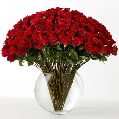 The Idealist –  Joya Flowers, Central Islip NY