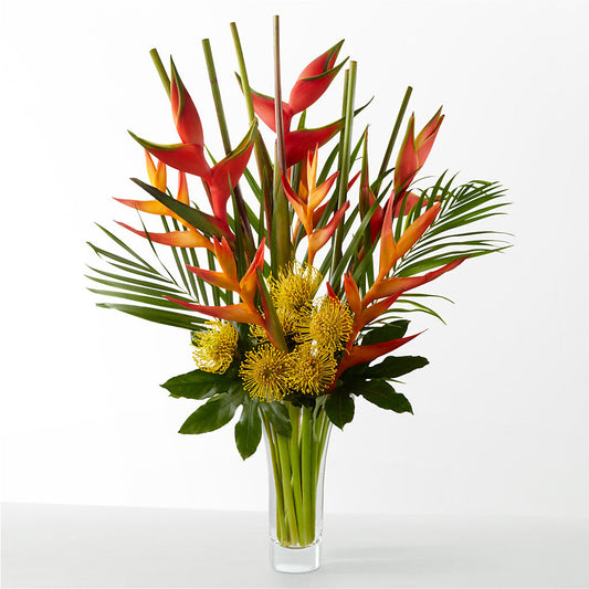 The Drama –  Joya Flowers, Central Islip NY