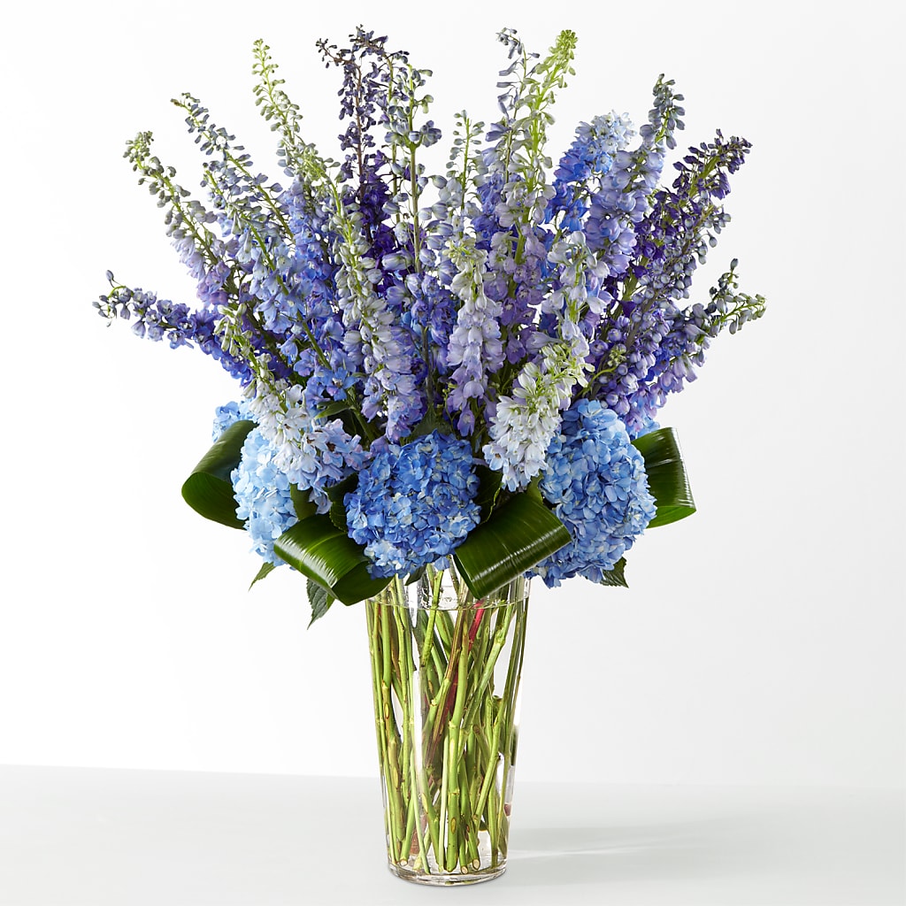 The Editorial –  Joya Flowers, Central Islip NY